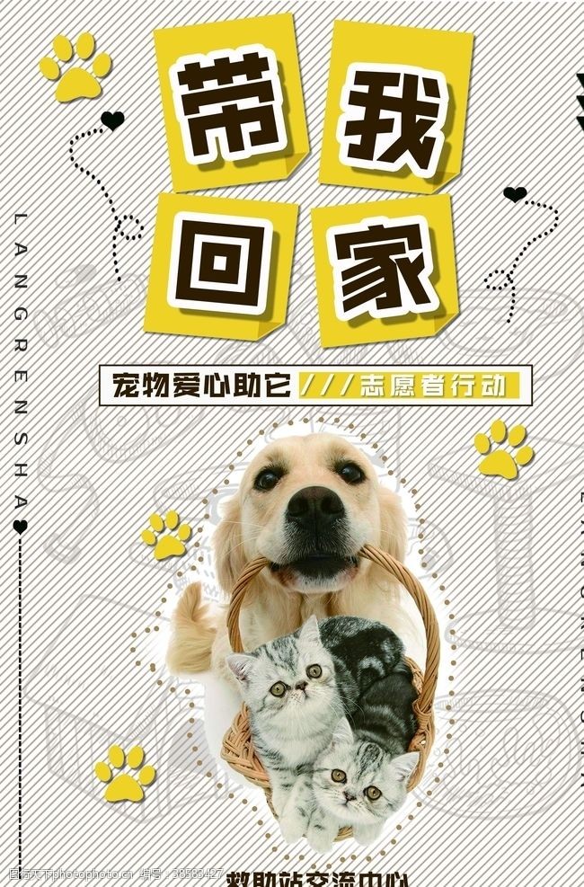 双11宠物海报