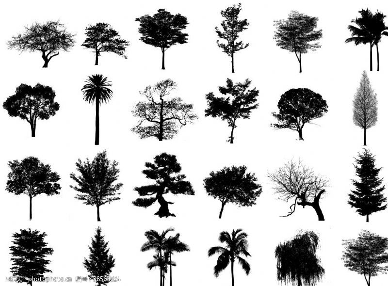 植物剪影树木剪影图片