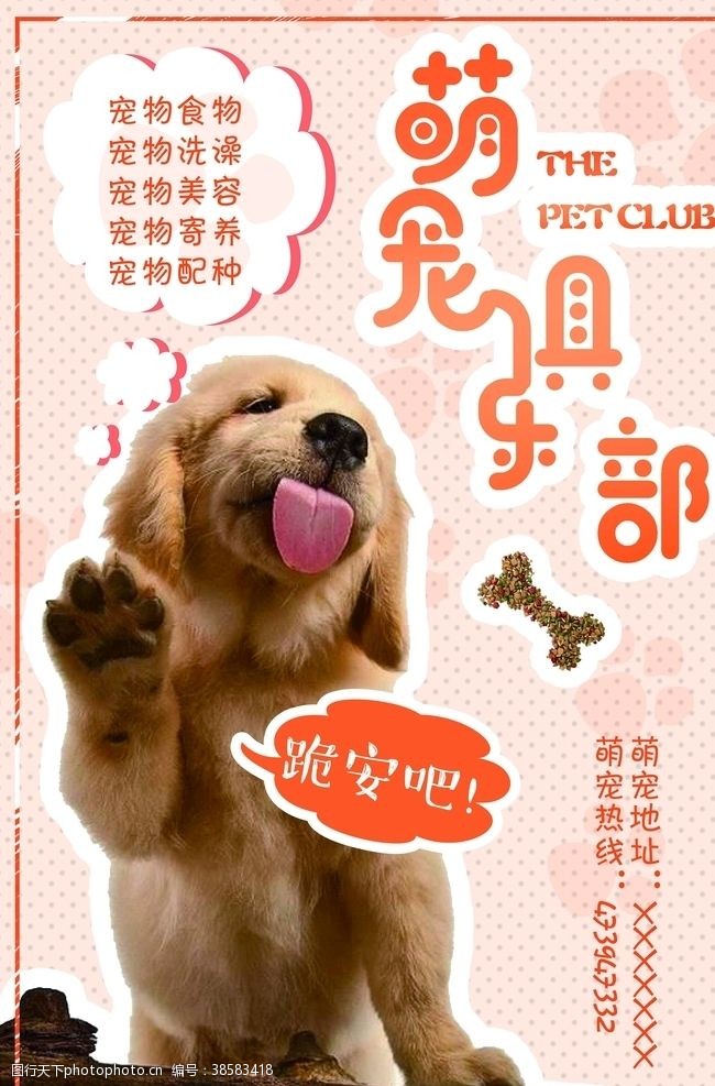 宠物店展架宠物海报