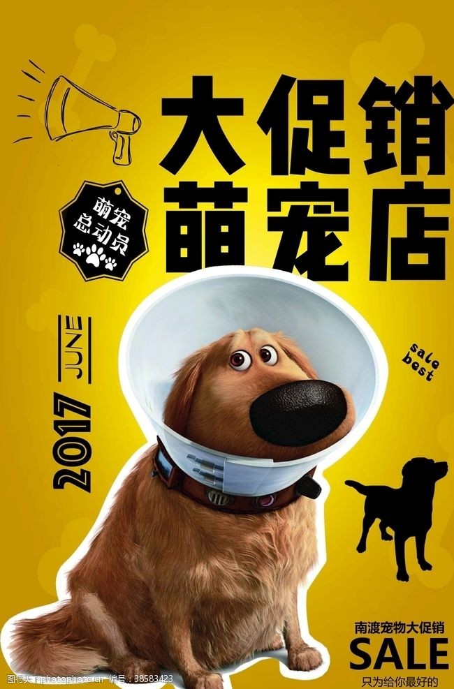 宠物店展架宠物海报