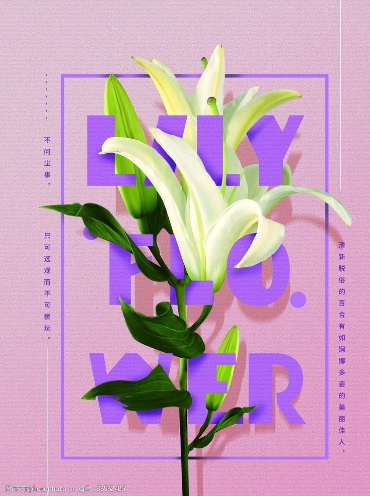 牡丹花茶花卉海报
