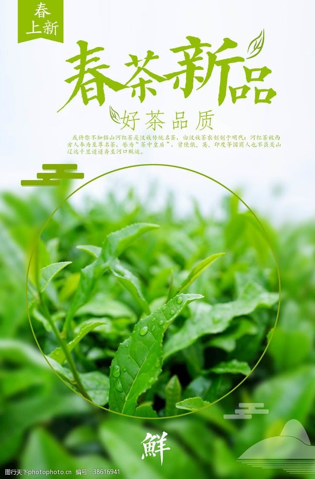 茶文化名片茶叶海报