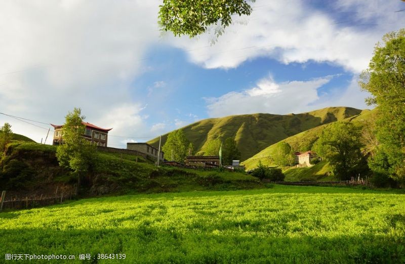 春天的背景草原牧场