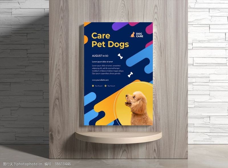 宠物交流宠物海报