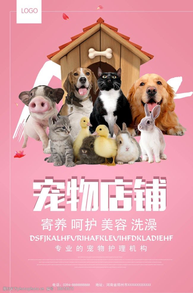 宠物之家宠物海报