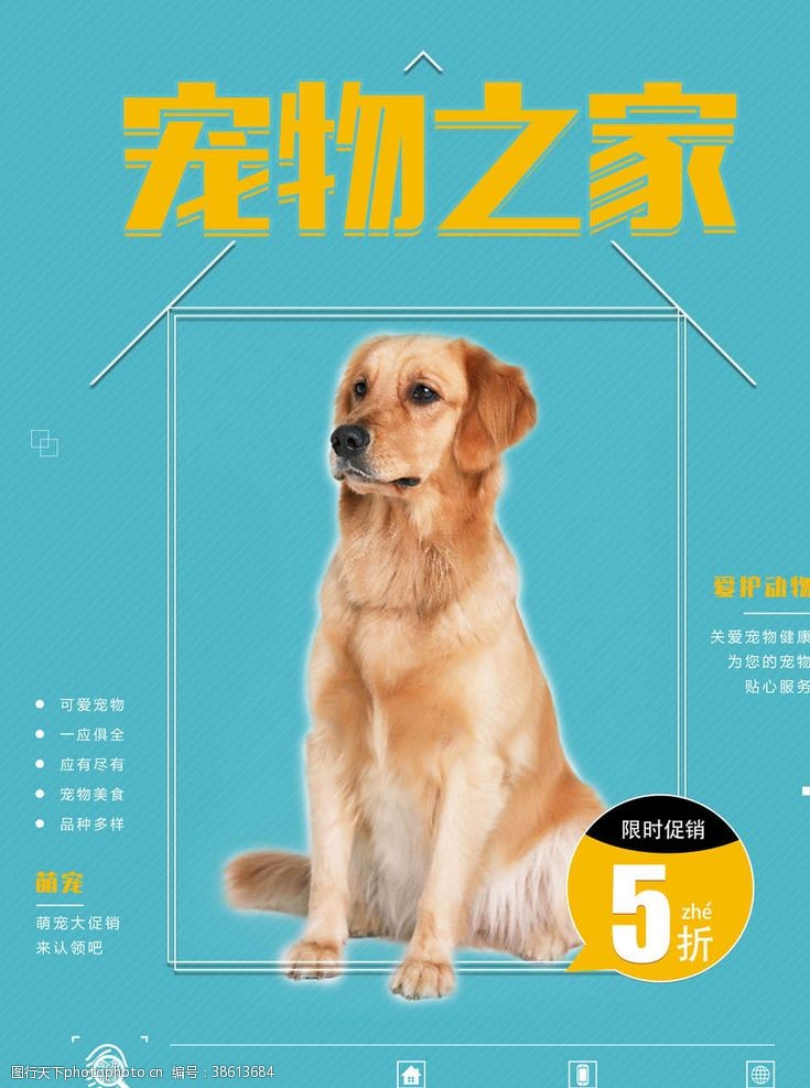 宠物之家宠物海报