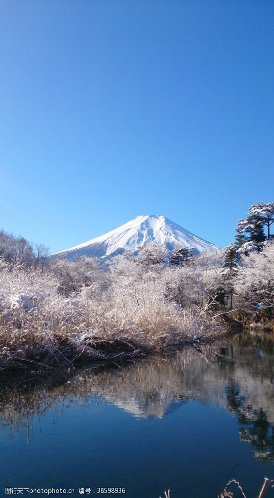 迷人富士山
