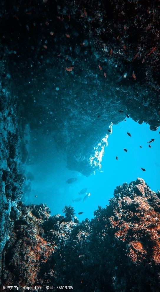 深色背景海底