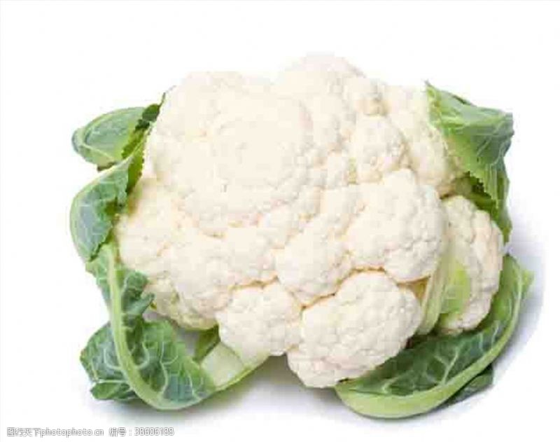 【共富路上之一百零六】雁江花溪村花菜喜获丰收 团体经济带动乡民增收