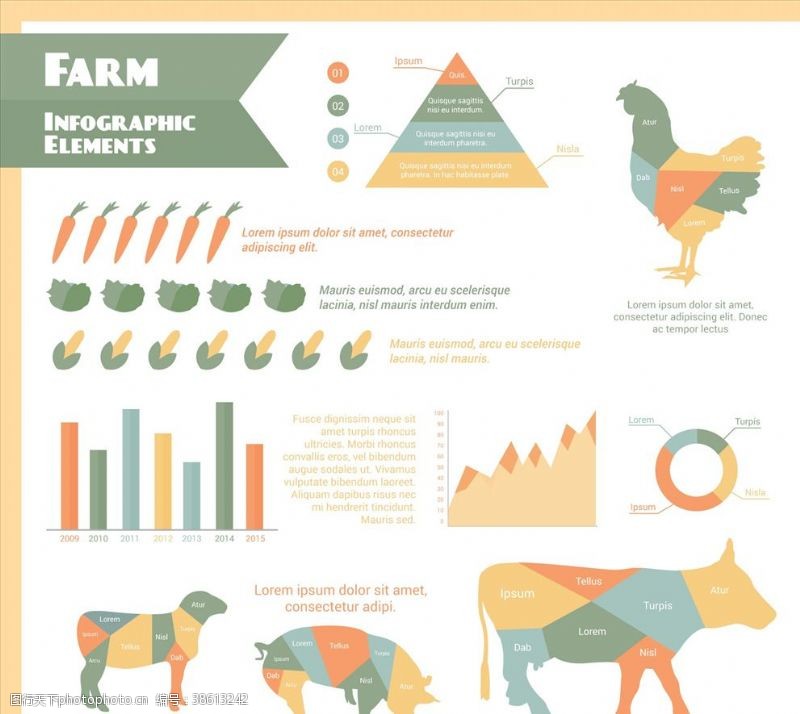 农场动物农场信息图表
