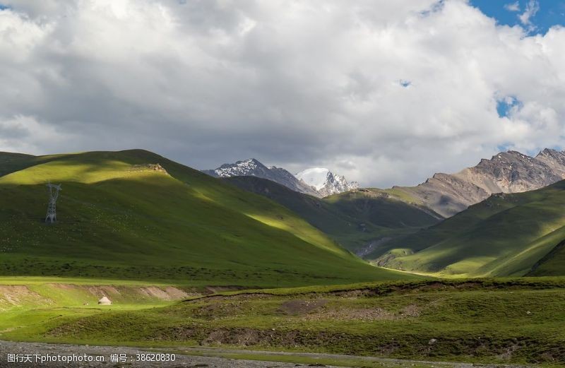 春天的背景新疆草原