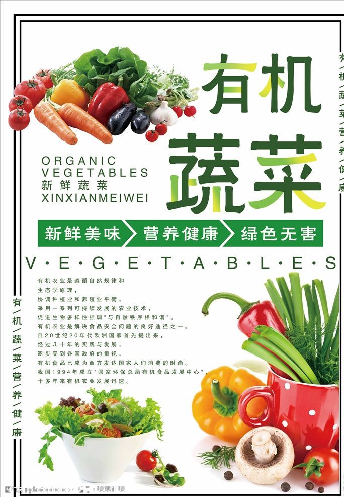 绿色蔬菜展架素材有机蔬菜