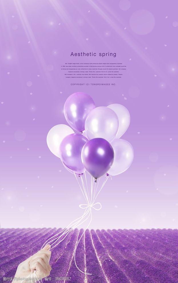 紫色花纹鲜花海报