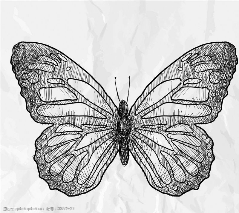彩绘物件手绘蝴蝶图片
