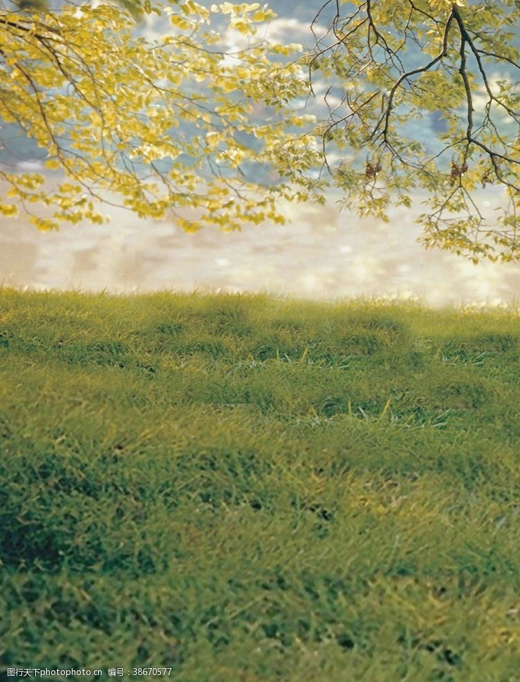 女神节展架婚纱背景