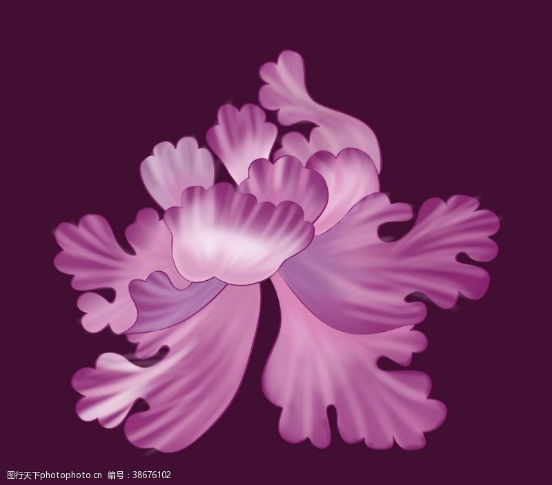 紫色花纹牡丹