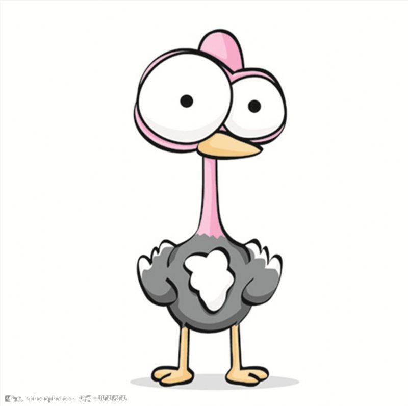 卡通印花鸵鸟搞笑搞怪动物卡通大眼睛5C