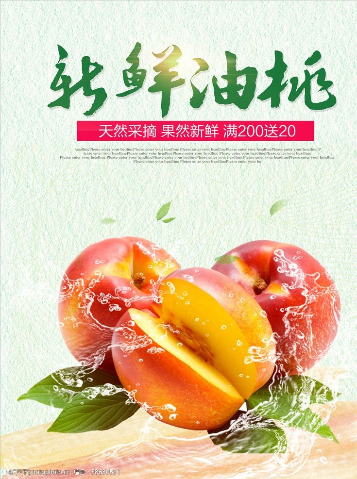 桃子画册油桃