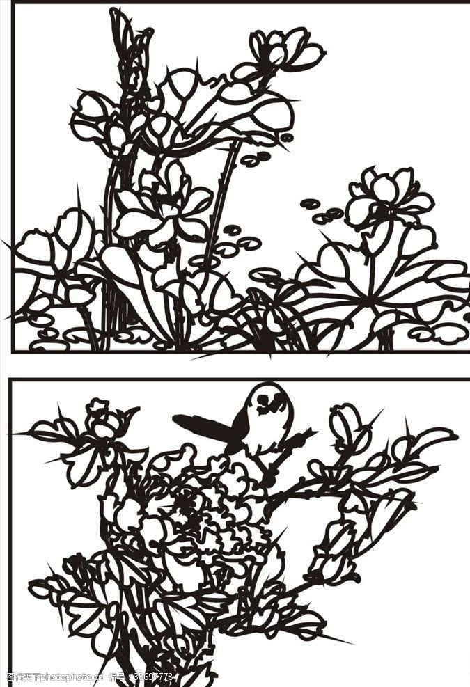 黑白花鸟白描图
