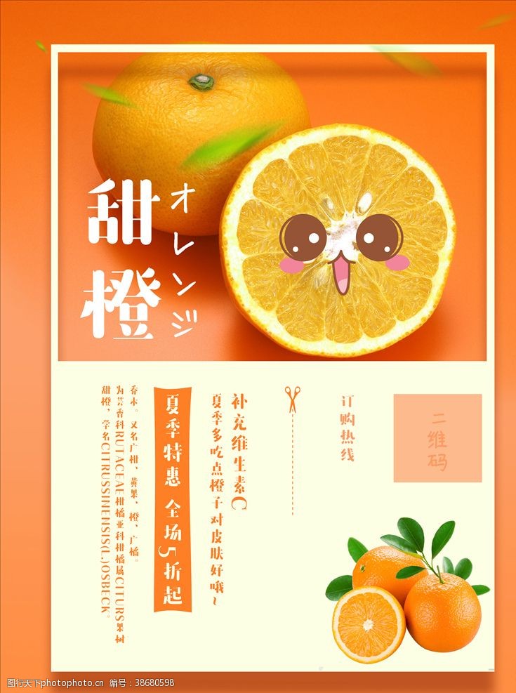酸橙甜橙