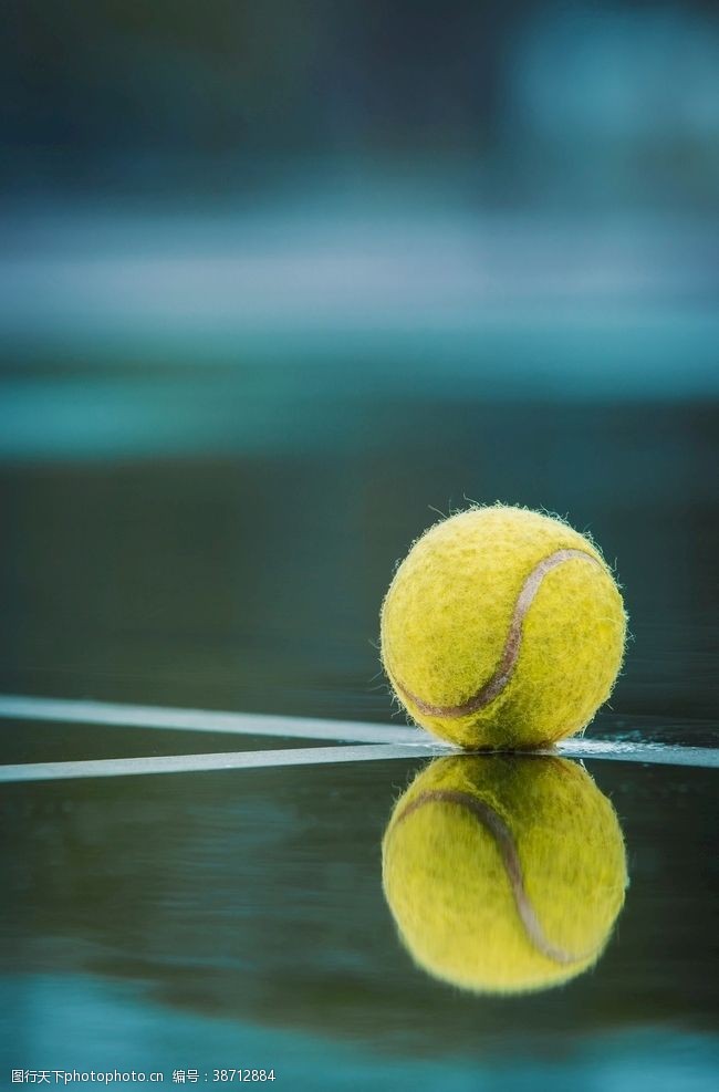 网球训练网球