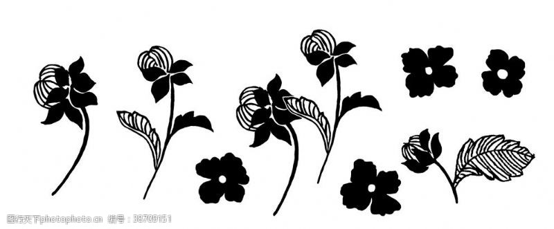 黑白线条花图片