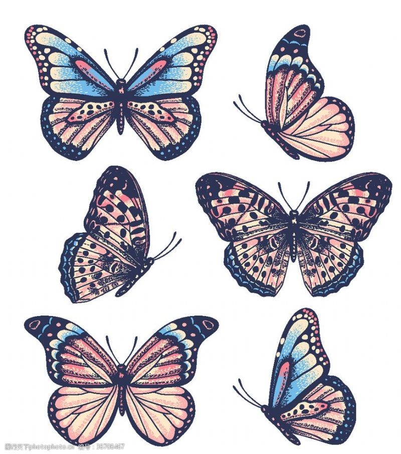 面料设计蝴蝶