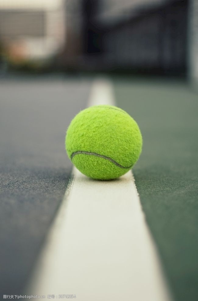 竞技体育网球