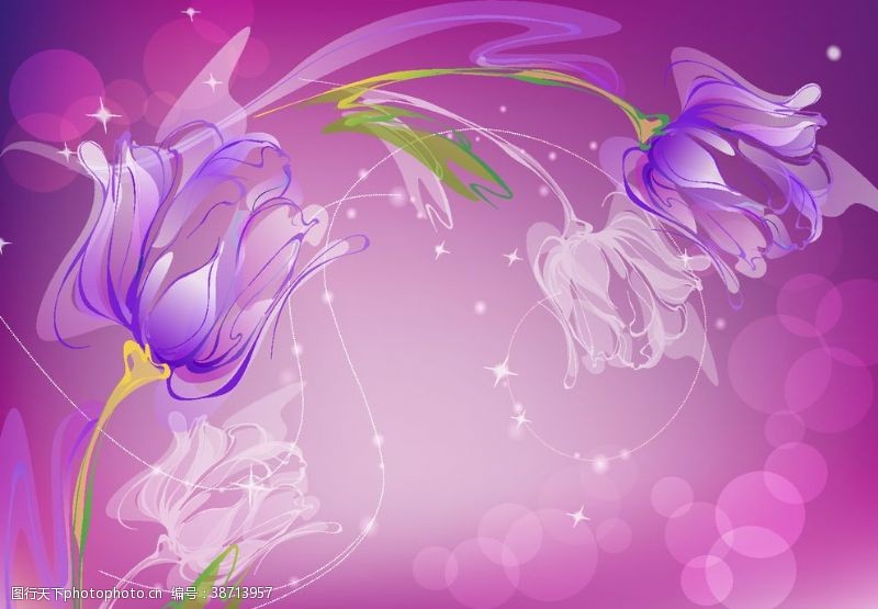 紫色花纹花纹纹理紫色玫瑰