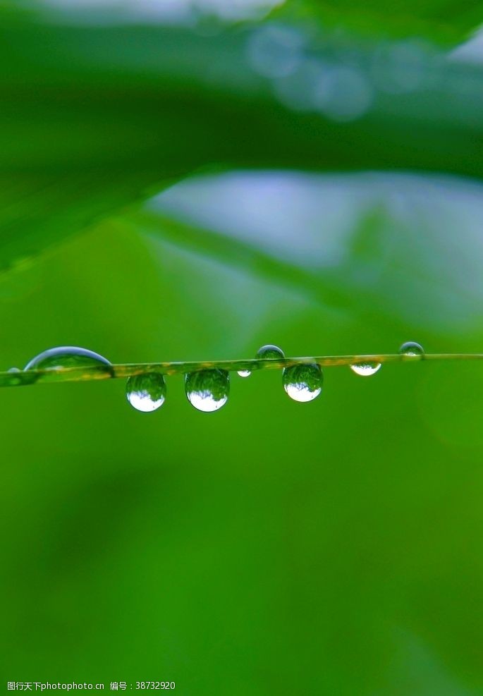 春雨