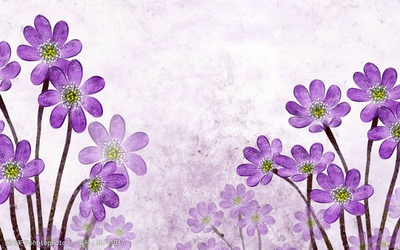 紫色的花壁纸图片免费下载 紫色的花壁纸素材 紫色的花壁纸模板 图行天下素材网