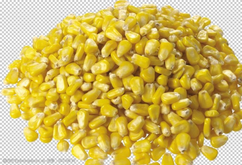 棒槌免抠图玉米粒