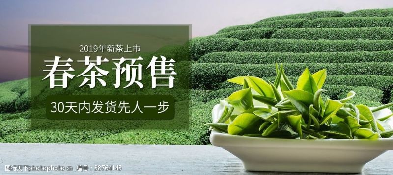 新茶上市广告春茶预售