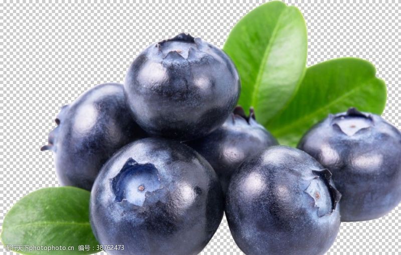 菠萝蜜蓝莓