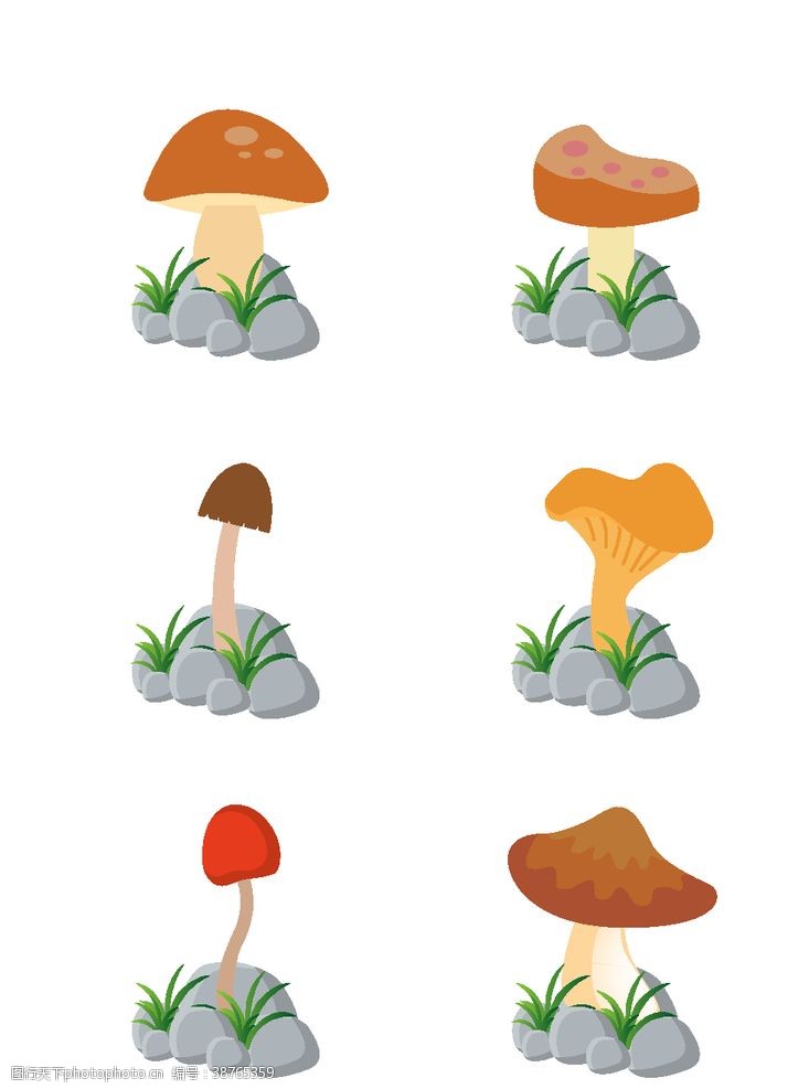 菇类蘑菇元素