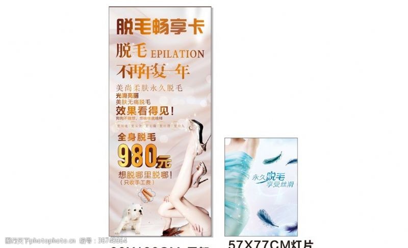 脱腋毛图片免费下载 脱腋毛素材 脱腋毛模板 图行天下素材网