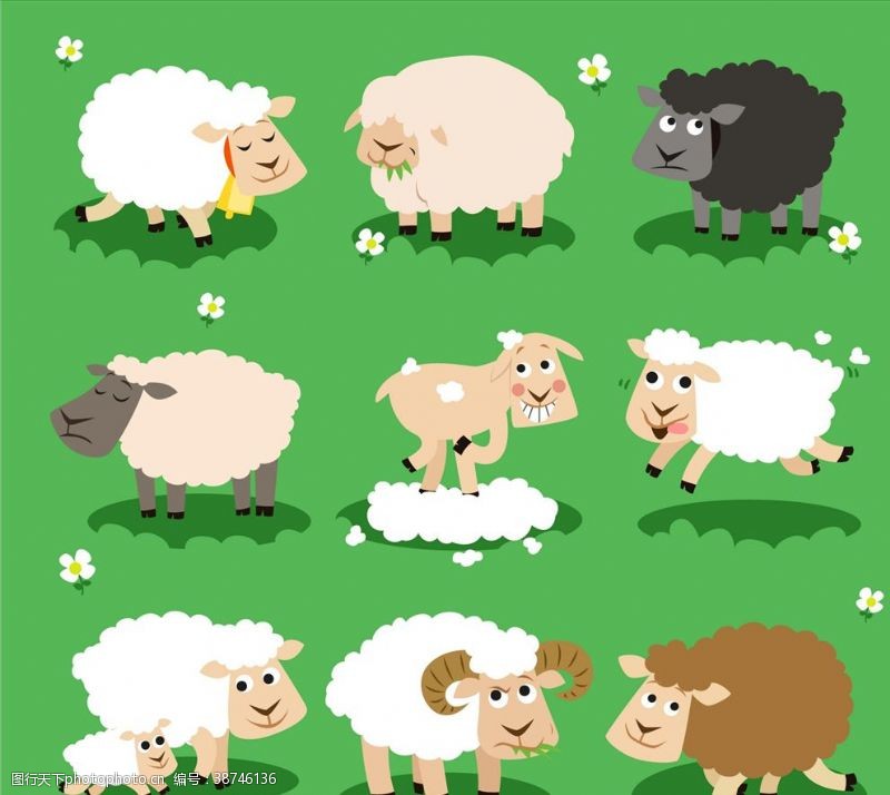 农场动物羊品种