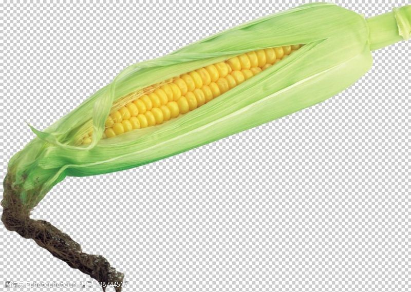 棒槌免抠图玉米