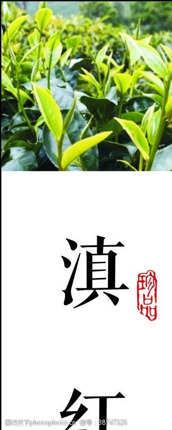 干茶叶茶叶标签