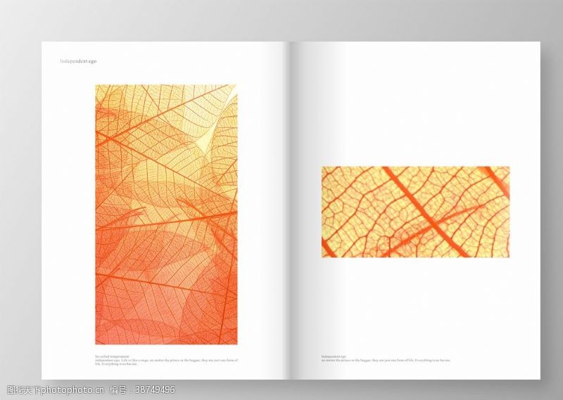 企业文化系列橘色简洁画册