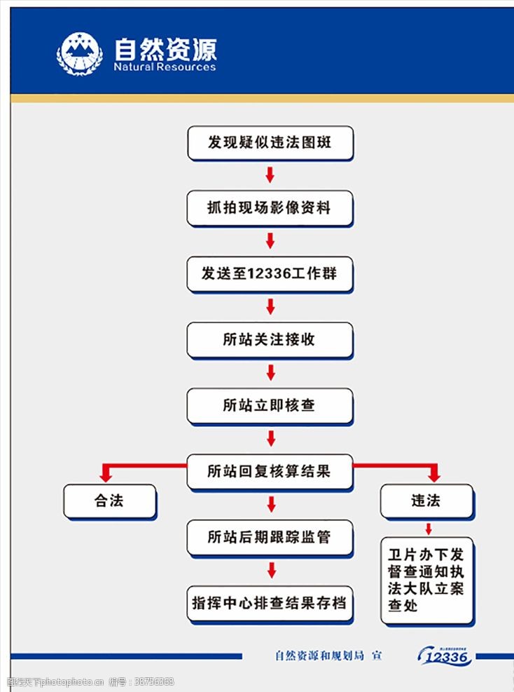 违法自然资源版面