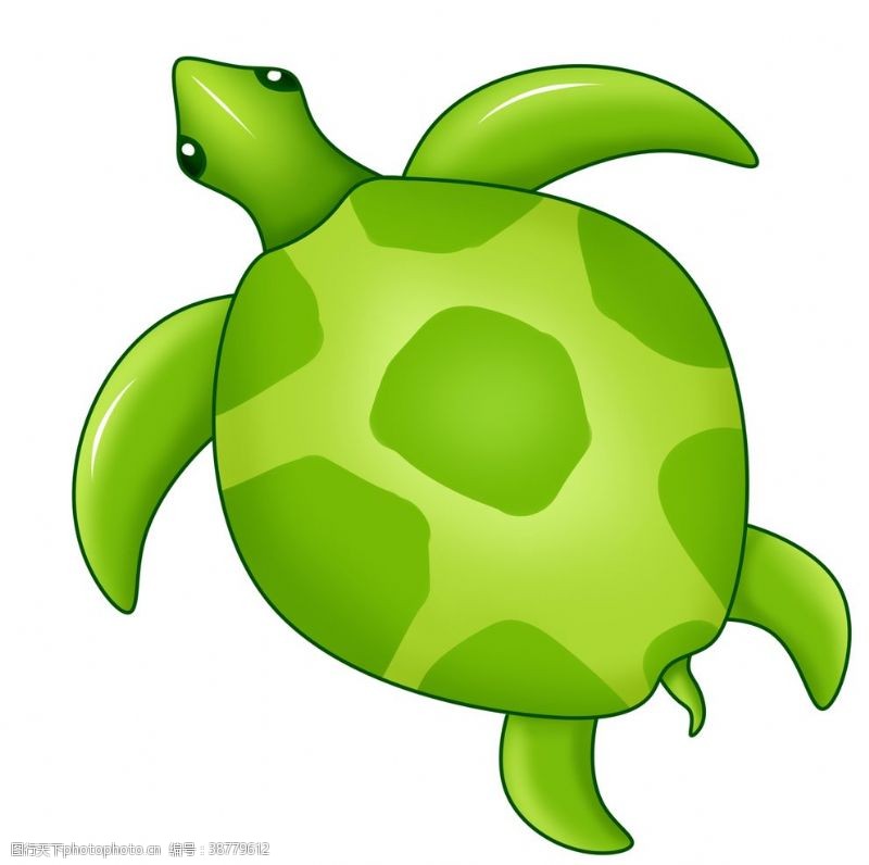 海洋生命卡通海龟