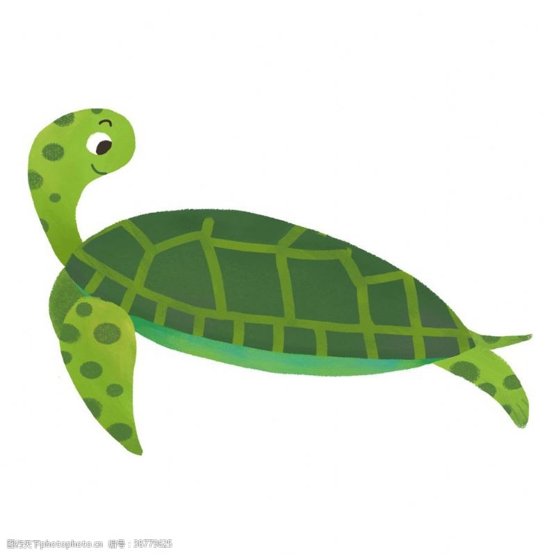 海洋生命卡通海龟
