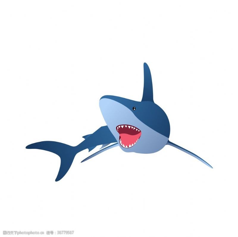 可爱插画卡通鲨鱼