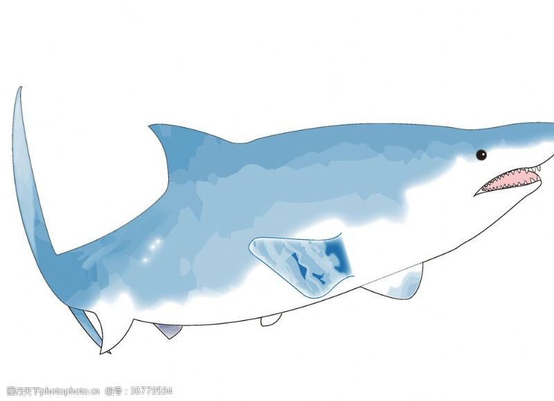 可爱插画卡通鲨鱼