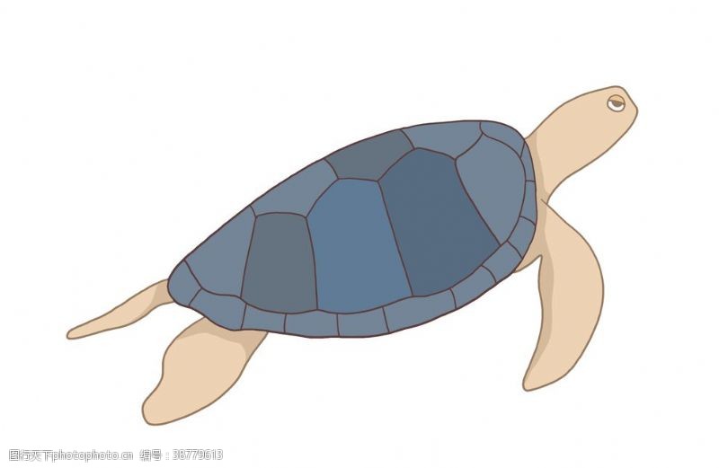 海洋生命卡通乌龟