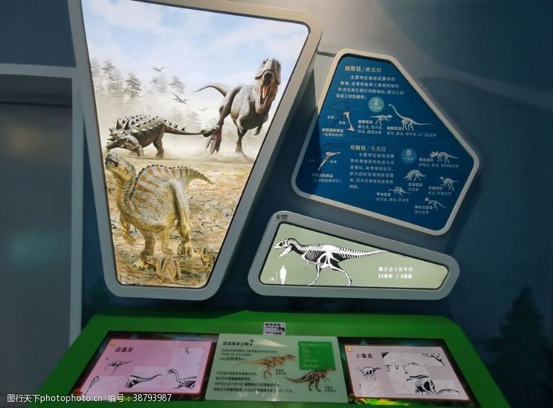 遵义恐龙化石