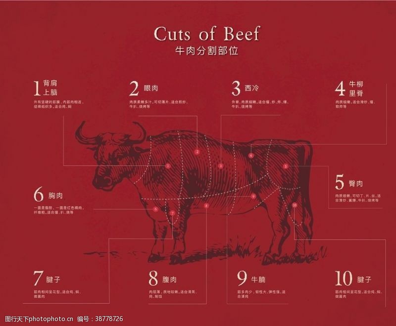 解刨图牛肉分割图