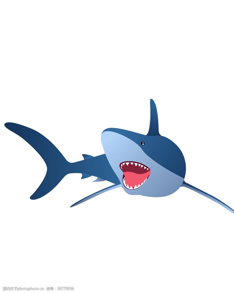 可爱插画鲨鱼插画