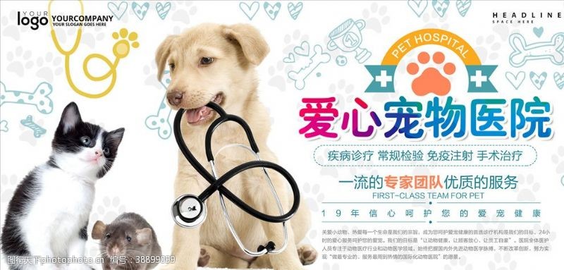 宠物医院招牌宠物海报